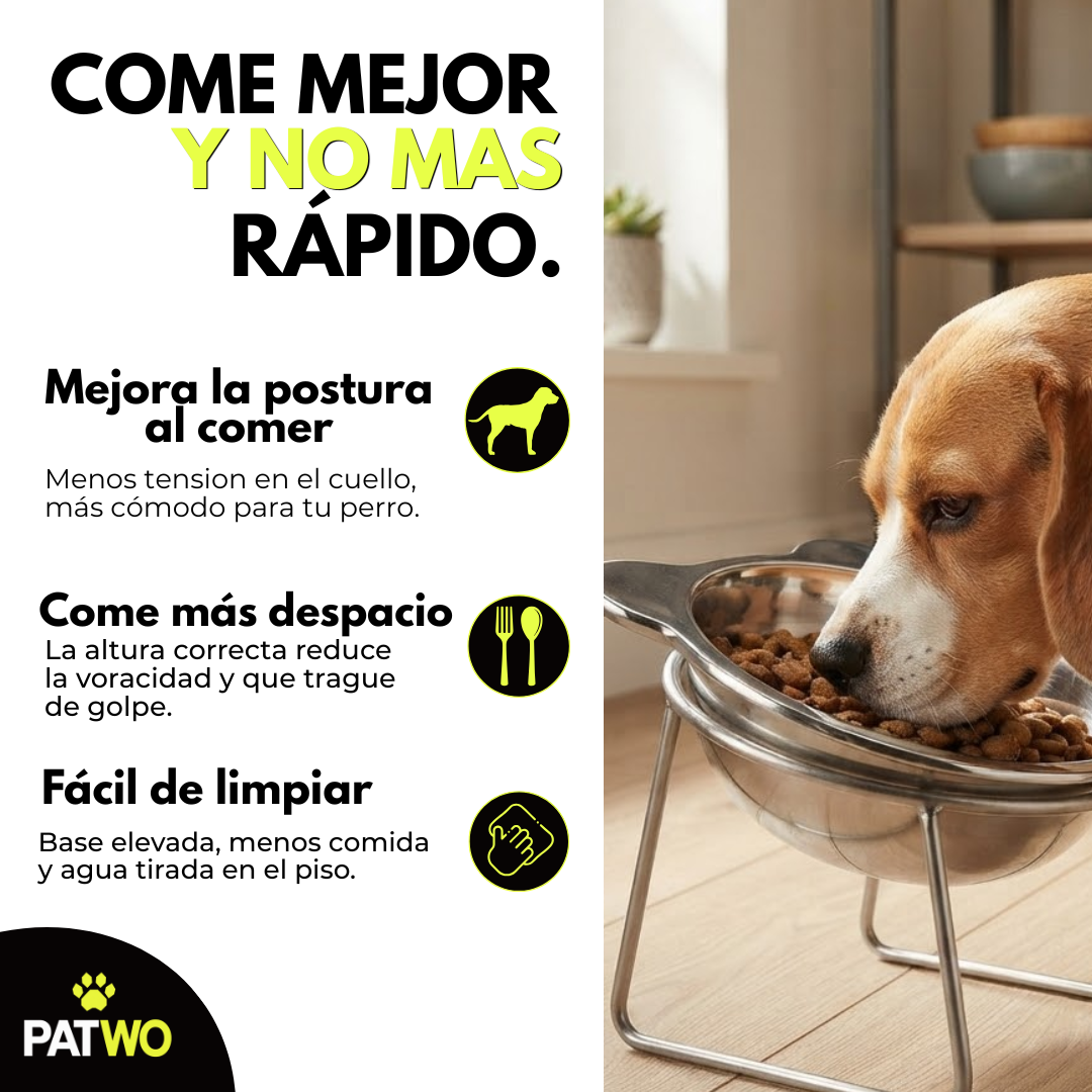 Comedero Elevado para Perro — Menos tension en cuello a la hora de comer