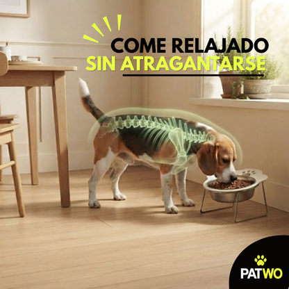 Comedero Elevado para Perro — Menos tension en cuello a la hora de comer