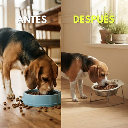 Comedero Elevado para Perro — Menos tension en cuello a la hora de comer