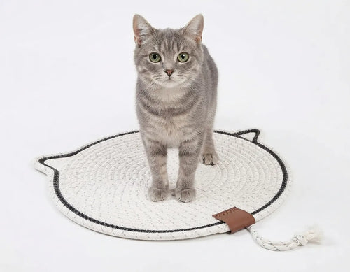 ALFOMBRA RASCADORA GATO - Evita que tu gato rasque tu sillon o puertas.