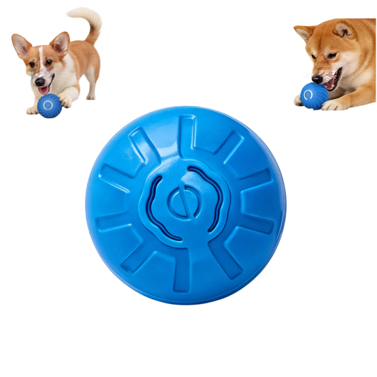 Pelota de Goma PATWO — Resistente al Juego Diario